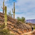 The Legal Landscape for Fashion Designers in Maricopa County, Arizona