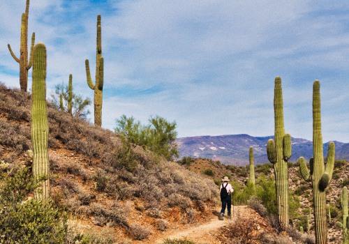 The Legal Landscape for Fashion Designers in Maricopa County, Arizona